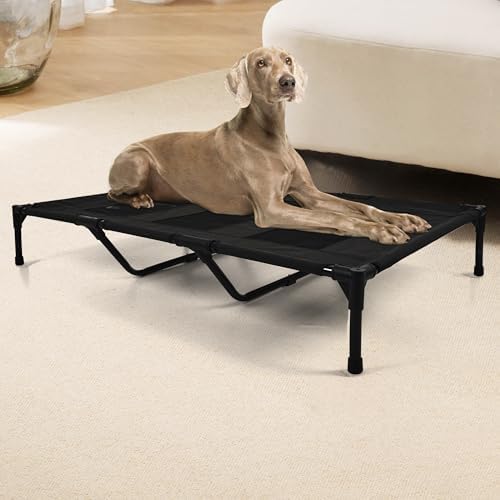Raised Dog Bed Cooling Cot for Indoor Outdoor Use Portable Waterproof Mesh Pet Bed Washable for Large Medium Small Dogs, Black