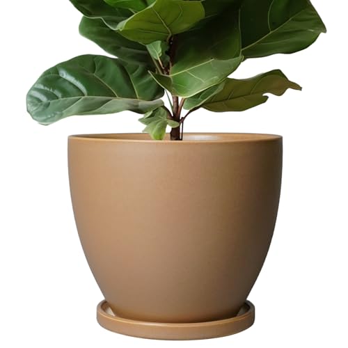 EPFamily 10 Inch Planter - Ceramic Pots for Plants, Planters with Drainage Hole and Tray, Modern...