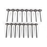 WXHYWWF Engine Intake & Exhaust Valves Set 16pcs Fit for Focus EcoSport CM5E6505AD 1S7G6507CG CM5E6505AE CP9Z6505A CM5E-6505-AD/1S7G-6507-CG