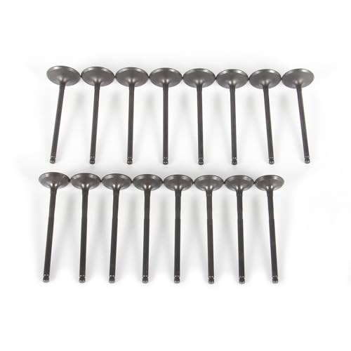 WXHYWWF Engine Intake & Exhaust Valves Set 16pcs Fit for Focus EcoSport CM5E6505AD 1S7G6507CG CM5E6505AE CP9Z6505A CM5E-6505-AD/1S7G-6507-CG
