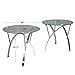 Christopher Knight Home Marin Round Glass End Table (Set Of 2), Clear
