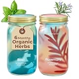 Modern Sprout Mason Garden Jar - Self-Watering Hydroponics Growing System Kit w/Organic Herb Seeds - Sprouting Jar Planter for Indoor Herb Garden - Seed Starter Kit - Decor & Gifting - Basil+Rosemary