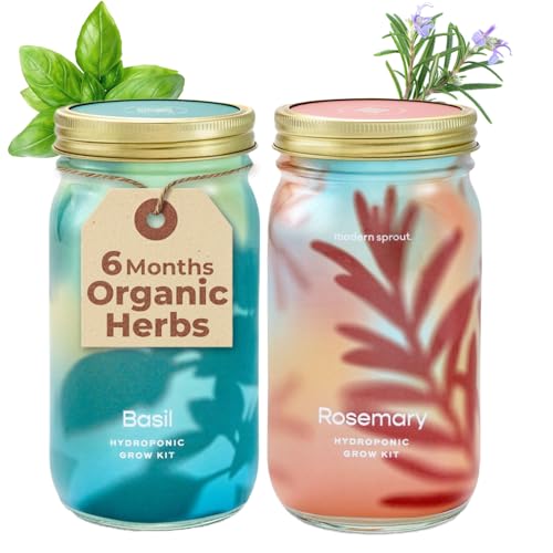 Modern Sprout Mason Garden Jar-Self-Watering Hydroponics Kit-Basil+Rosemary