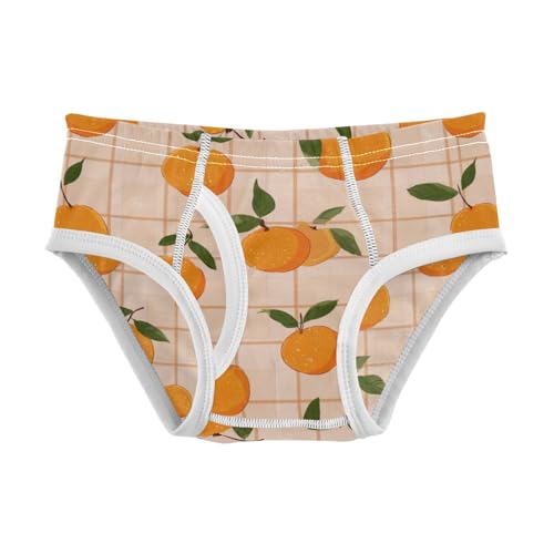 Wusikd Orange Fruit Checkered Boys' Underwear Cotton Boys Briefs Soft Toddler Underwear 2T