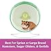 Kaytee Silent Spinner Wheel For Pet Syrian or Large Breed Hamsters, Sugar Gliders and Gerbils, Large 10 Inch (Colors May Vary)
