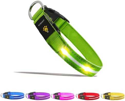 PetBright Rechargeable Light Up LED Dog Collar - Weatherproof With 3 Light Modes - Make Your Dog Visible & Safe In The Dark (Small, Pink)