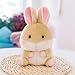 Lulihhhh 18/23cm kreatives süßes kleines Tier Puppenkugel Plüschtier molliges Geburtstagsgeschenk Kindertagsgeschenk kleines gelbes Kaninchen 18cm
