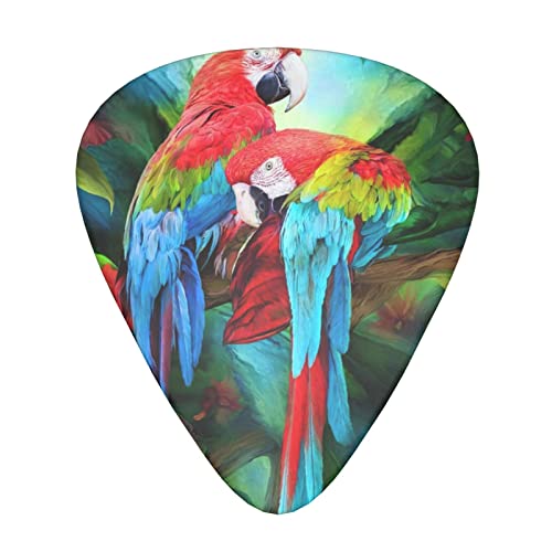 Ensemble de 12 médiators de guitare perroquets bicolores pour guitare acoustique, guitare électrique, contrebasse… - Les Beatles, Paul McCartney, John Lennon, RIngo Starr, George Harrison Ensemble de 12 médiators de guitare perroquets bicolores pour guitare acoustique, guitare électrique, contrebasse…