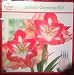 Holiday Time Indoor Growing Kit - Amaryllis 'Minerva'