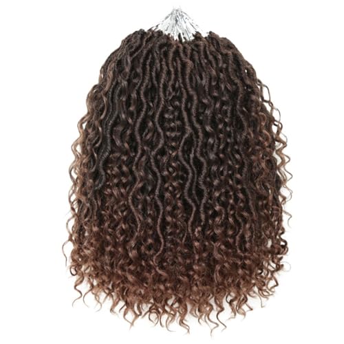 Goddess Locs au crochet tresses synthétiques Boho River T30 14 pouces