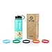 45 Degree Latitude Stainless Steel Insulated Vacuum Sealed Water Bottle, 24-Ounce, Celeste Green