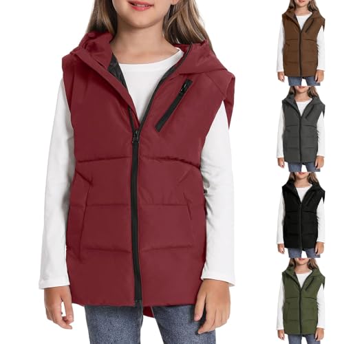 Boys Girls Hooded Puffer Vest Kids Sleeveless School Down Jackets Lightweight Warm Soft Zip Up Puffy Waistcoat