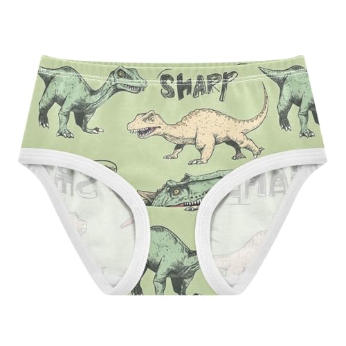Wusikd Dinosaurs Vintage Girls' Underwear Cotton Sharp Teeth Girls Briefs Soft Toddler Underwear 2T