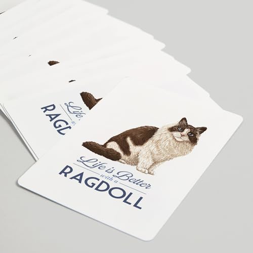 Lantern Press Baraja de 52 Cartas de Póker Ragdoll Cat miniatura 5