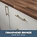 Franklin Brass (10-Pack) – Champagne Bronze Cabinet Handles, 5-1/16 Inch Hole Center, Casual Pulls for Drawers, Kitchen Cabinet Door, Dressers | Francisco