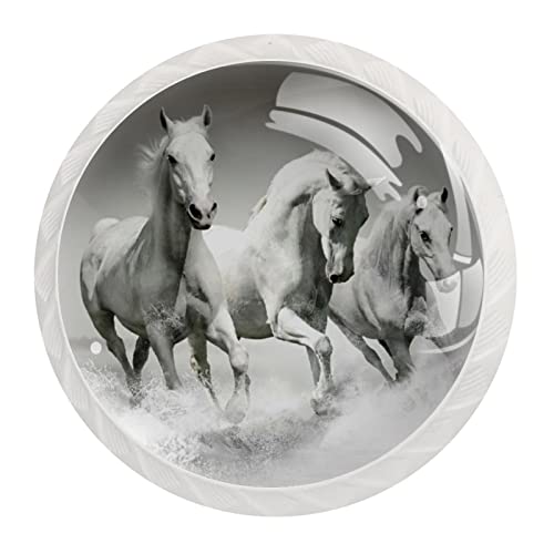 Poignées de commode de ferme au style équestre pour personnaliser les meubles de chambre - 2