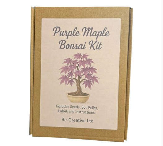 Be-Creative Purple Japanese Ghost Maple Bonsai Starter Gift Set – Grow Your Own Acer Tree Kit – Rare Purple Maple Seeds, Perfect Gardening Gift for Plant Lovers (10 Seeds)