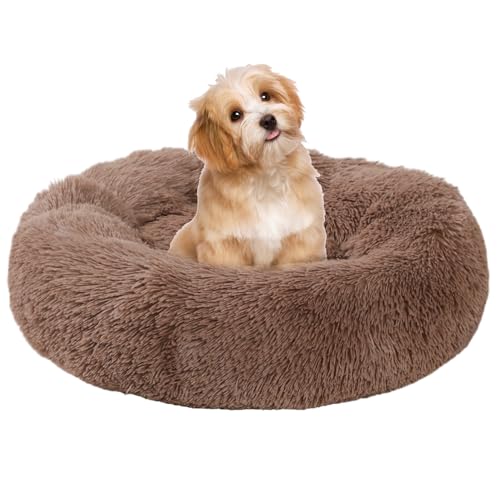 Small Dog Bed, Cat Beds for Indoor Cats, Calming Anti-Anxiety Donut Bed for Puppy and Kitten, Washable Round Fluffy Pet Bed for Small Dogs and Cats(Fits up to 15 lbs Pets)
