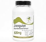 Jiaogulan Standardized Extract 820mg ~ 90 Capsules - No Additives ~ Naturetition Supplements