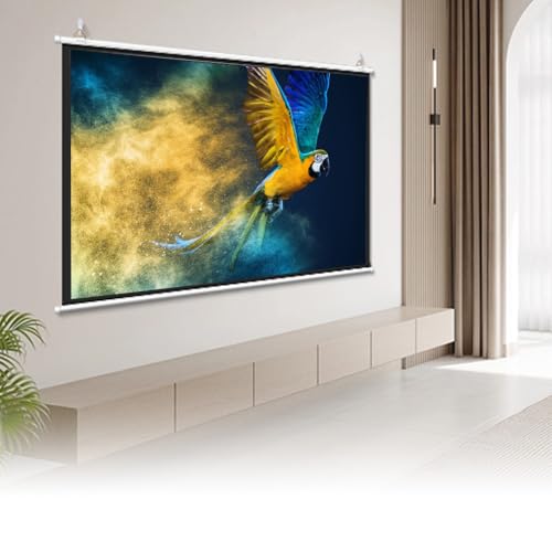 Pantalla Manual Retráctil 40'' 4:3 para Proyector