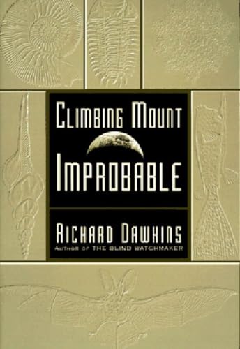 Climbing Mount Improbable view 2
