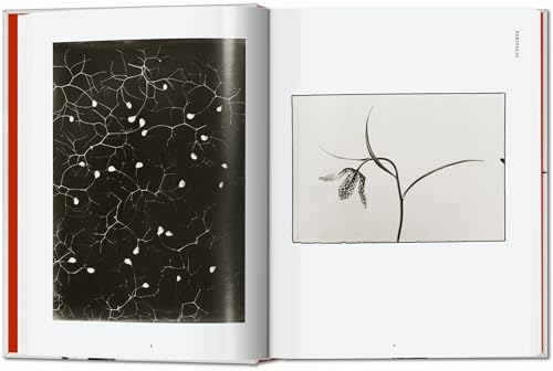 Karl Blossfeldt: The Complete Published Work: The Complete Published Work. 45th Ed.