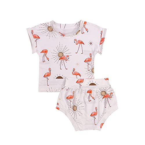 2 Pieces Kids Suit Set, Flamingo Print Round Neck Short Sleeve T-Shirt+ Shorts for Girls (White, 18-24 Months)