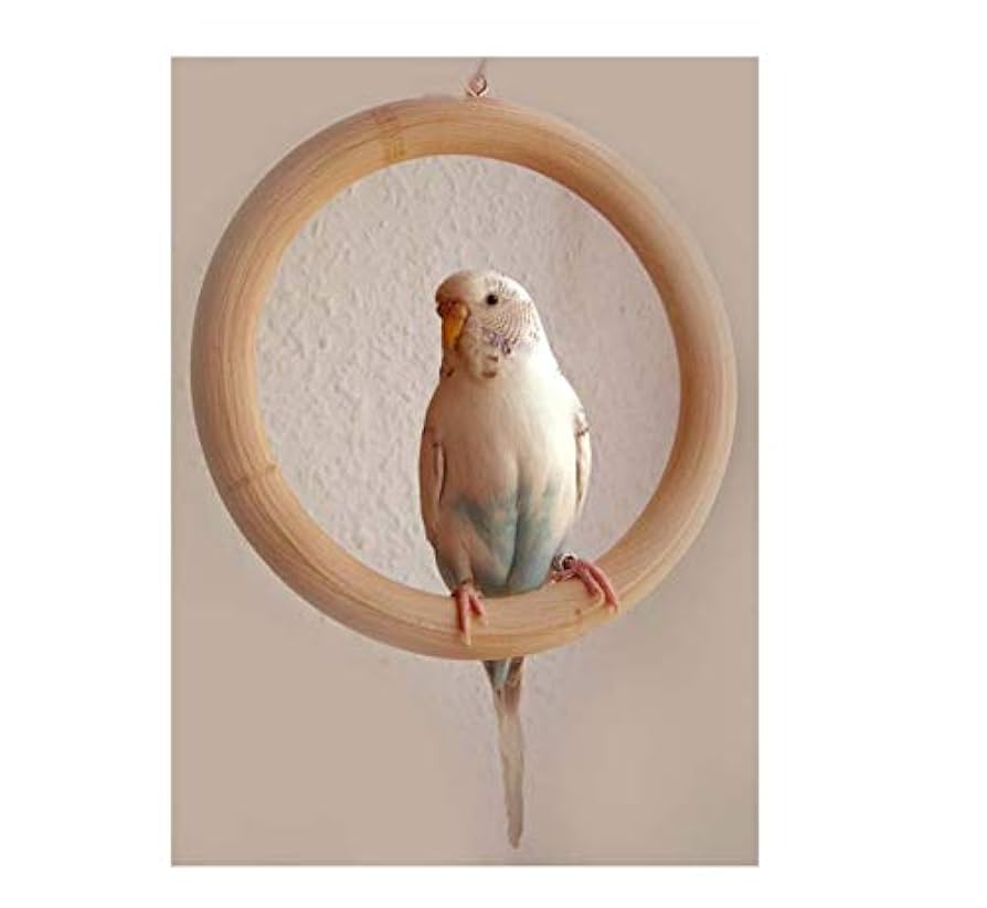 ストック生地　鳥さん　インコ コンパニオンバード NO.30 (発売日2018年12月11日) | 雑誌/電子