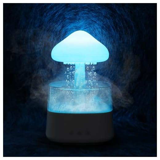Rain Cloud Humidifier Water Drip with Adjustable LED Lights White Noise Humidification Desk Fountain Bedside Sleeping Relaxing Mood (White)