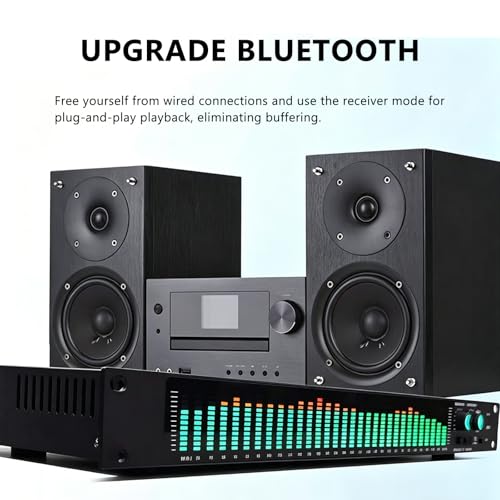 Analyseur de spectre audio Buhelyc égaliseur numérique 31 bandes - 7