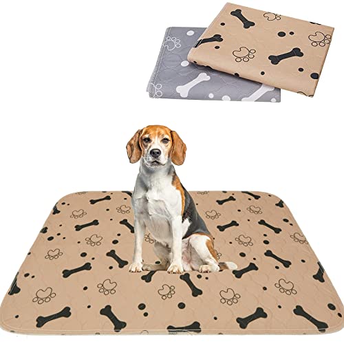 EXPAWLORER Waschbare Urini-Pads für Hunde - Wiederverwendbare Hunde-Töpfchentraining-Pads, wasserdicht und rutschfest, Welpenmatte, Pinkel-Pads für Hundebox & Haustierkäfig, 2 Stück 91x104 cm Cover