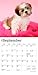 Shih Tzu Puppies | 2026 7 x 14 Inch (Hanging) Monthly Mini Wall Calendar | BrownTrout | Animal Small Dog Breed Puppy