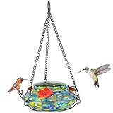 Nature's Way Bird Products WWGHF7 Hand Blown Spring Rain Illuminated Hummingbird Dish Feeder