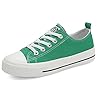 DSWED Kids Sneakers Boys and Girls Canvas Shoes Casual Lightweight Shoes Classic Adjustable Strap Sneakers