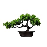 Photo Gallery wenh piante di pino artificiale da 27 cm, bonsai, finti alberi ornamentali, piante di plastica, simulazione di paesaggio, albero for la decorazione della scrivania della casa(22x36) Photo Gallery wenh piante di pino artificiale da 27 cm, bonsai, finti alberi ornamentali, piante di plastica, simulazione di paesaggio, albero for la decorazione della scrivania della casa(22x36)