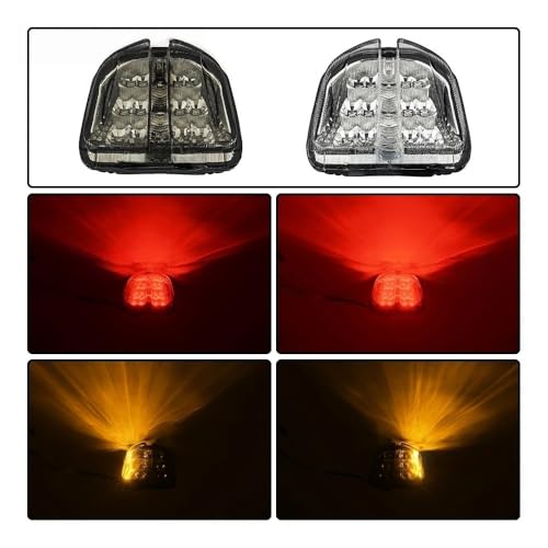 Luz trasera LED con intermitentes para ruta en moto 4