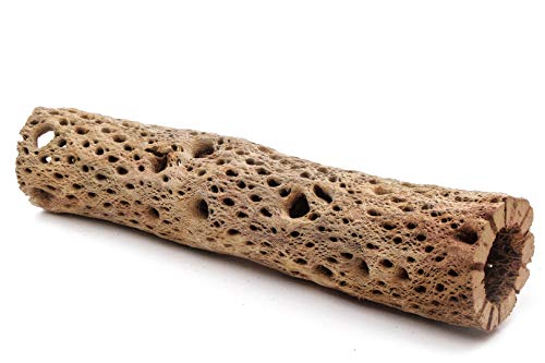 Image of 3, 6, 9, 12 Inch All Natural Teddy Bear Cholla Wood Extra Hollow Untreated Organic Aquarium Driftwood Decoration Chew Toy Shrimp Crab Cichlid Nano Tank Birds 1 or 5 Pieces (1 Piece, 12 inch)