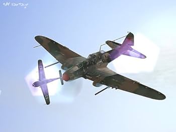 Amazon.co.jp: IL-2 Sturmovik - PC : PCソフト