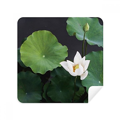 Tissu de nettoyage de lunettes en suède premium motif photo nature feuille