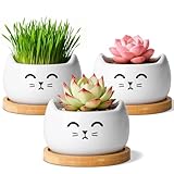 T4U Cat Planter 3.8 Inch, 3 Pcs Cute Cat Small Plant Pots for Indoor Plants, Mini Cat Succulent Pots for Plants, Ceramic Succulent Planters with Drainage, Tiny Flower Pots
