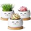 Cat Planter