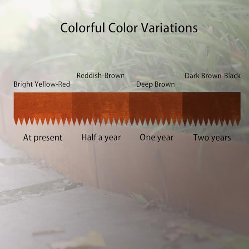 MerxCompro Corten Steel Landscape Edging, 40" L x 8" H, 18 GA Thickness, 13 Pack + 14 Stakes, Enhance Garden, Yard, Park, Lawn, Plants & Vegetables w/Long-Lasting Rust-Finish Cor-Ten Edging by MerxCompro - Image 5
