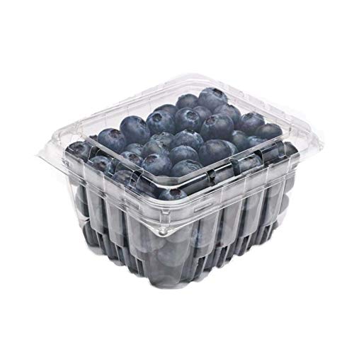 Katgely Vented Pint Plastic Berry Containers for Grape Tomatoes & Blueberries (Pack of 50)