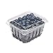 Katgely Vented Pint Plastic Berry Containers for Grape Tomatoes & Blueberries (Pack of 50)