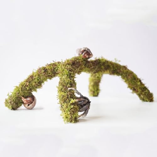 Begeterday 12 Inch Hermit Crab Climbing Toys,...