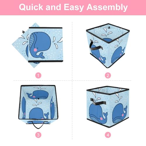 Boîte de rangement pour livres et dressing dans la maison