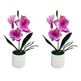 [Occasions spéciales] Ces charmantes orchidées artificielles sont parfaites pour les décorations festives ou comme cadeaux attentionnés pour vos proches, rehaussant toute célébration ou rassemblement avec leur beauté.