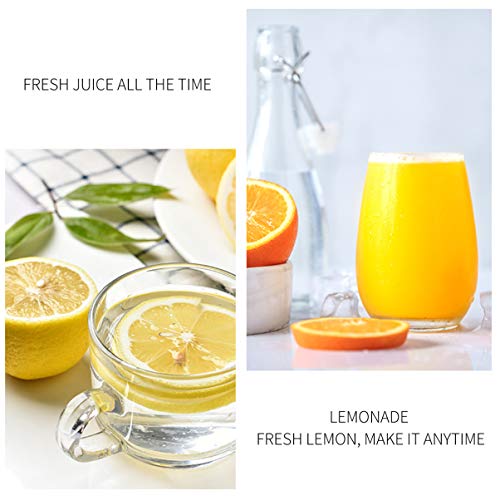 Espremedor de mão Cabilock 2 peças laranja espremedor de frutas espremedor manual máquina de rotação