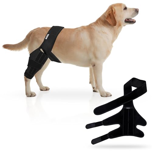 YSPet Premium Dog Knee Brace for Torn ACL/CCL - Large Universal Brace for Hind Leg Support and Hip Dysplasia - Durable Dog Leg Braces for All Four Legs Neoprene Dog Knee Brace