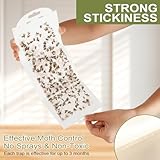 Zoom IMG-2 vsshe trappole farfalline alimentari 8 Zoom IMG-2 vsshe trappole farfalline alimentari 8